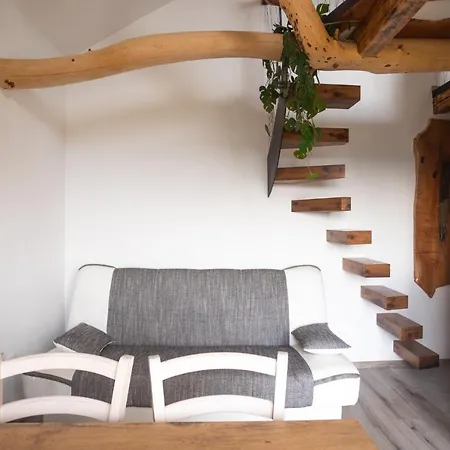 Vineyard Sonce Sentvid Pri Sticni