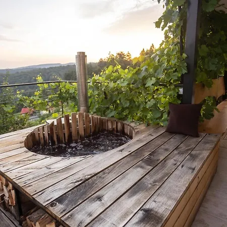 Vineyard Sonce * Sentvid Pri Sticni