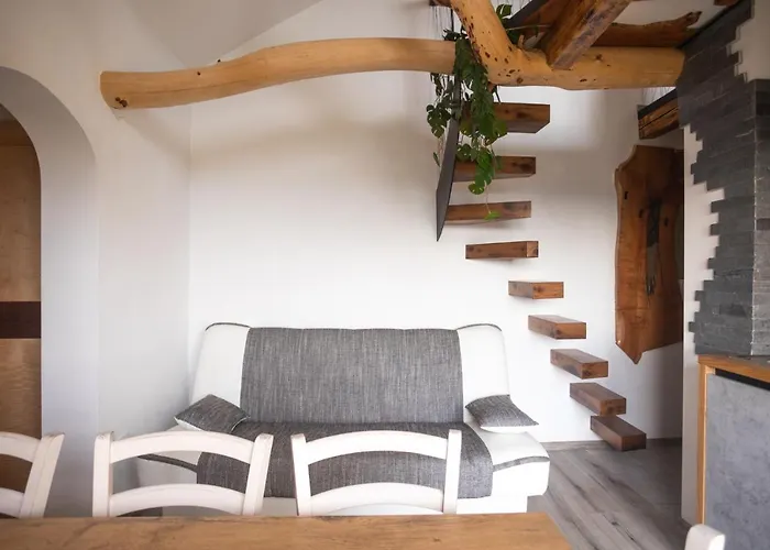 Vineyard Sonce Sentvid Pri Sticni