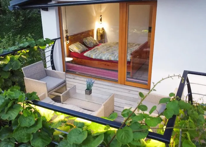 Vineyard Sonce * Sentvid Pri Sticni