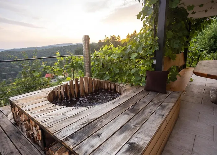 Vineyard Sonce * Sentvid Pri Sticni